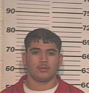 Hernandez Jesse - Hidalgo County, TX 