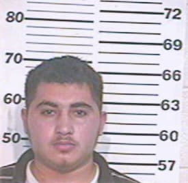 Gonzalez Hector - Hidalgo County, TX 