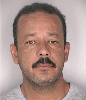Merino Rodolfo - Hillsborough County, FL 