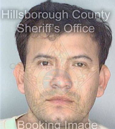 Solano Jose - Hillsborough County, FL 