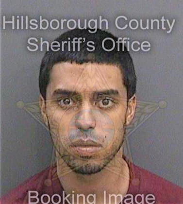 Dejesus Erik - Hillsborough County, FL 