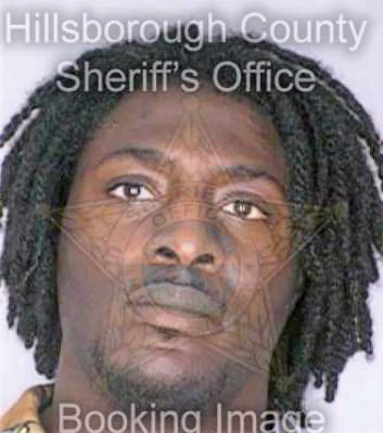 Johnson Virgil - Hillsborough County, FL 