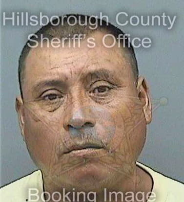 Navanarino Pablo - Hillsborough County, FL 