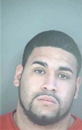 Melendez Hector - Hillsborough County, FL 