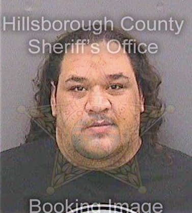 Lugo Neftali - Hillsborough County, FL 