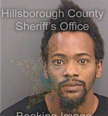 Mcduffie Alphonso - Hillsborough County, FL 