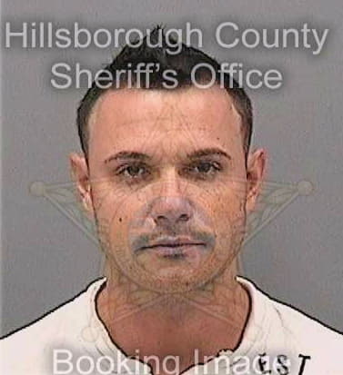 Garcia Dariel - Hillsborough County, FL 