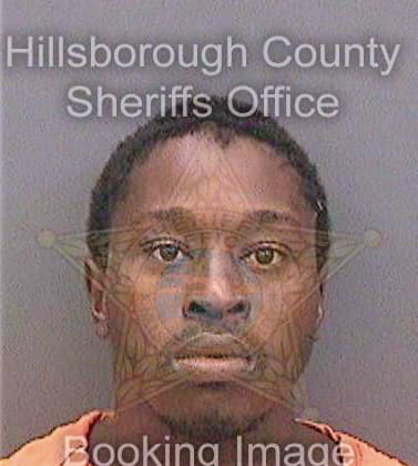 Mcdonald Derek - Hillsborough County, FL 