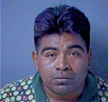 Gonzales Domingo - Lee County, FL 