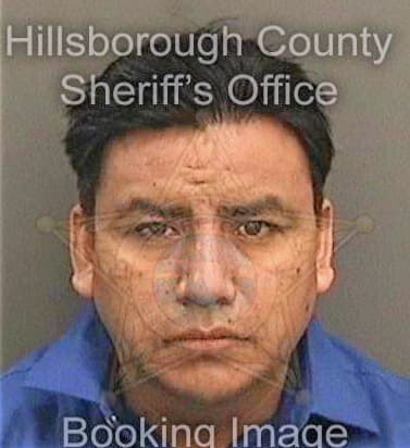 Ramirez Fernando - Hillsborough County, FL 