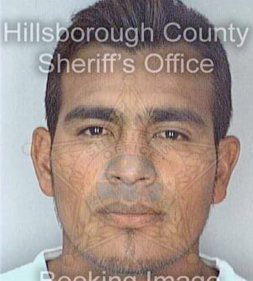 Menesesrosales Emilio - Hillsborough County, FL 