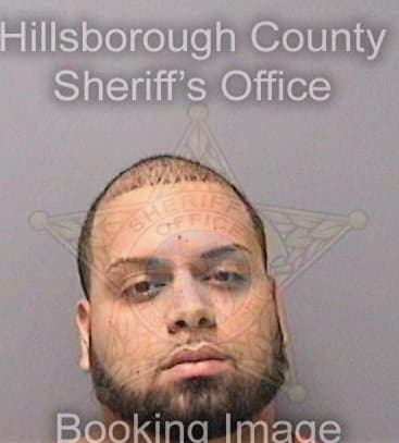 Dejesusrodriguez Luis - Hillsborough County, FL 