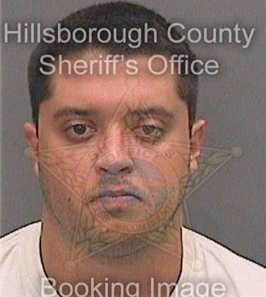 Martinez Rene - Hillsborough County, FL 