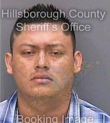 Perezmartinez Janer - Hillsborough County, FL 