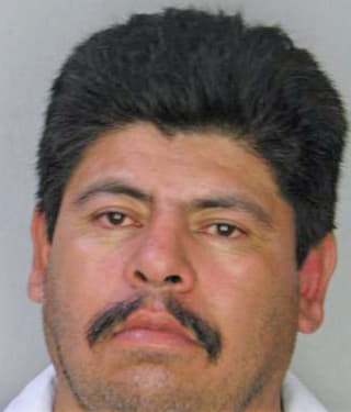 Pintohernandez Ervin - Hillsborough County, FL 