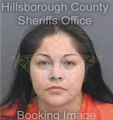 Briones Alexandra - Hillsborough County, FL 