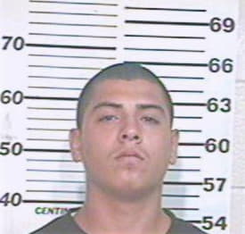 Martinez David - Hidalgo County, TX 