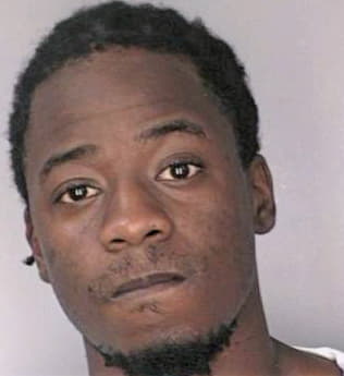 Bowman Robert - Hillsborough County, FL 