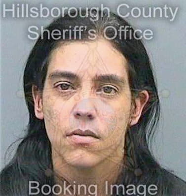 Santiago Michele - Hillsborough County, FL 