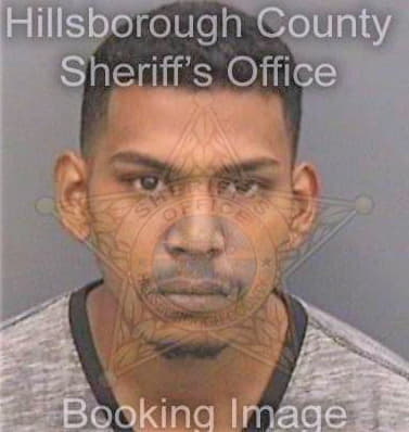 Correa Cesar - Hillsborough County, FL 