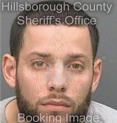 Larriuz Mariano - Hillsborough County, FL 