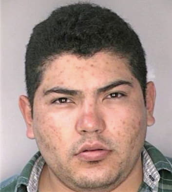 Cavazosmartinez Ramiro - Hillsborough County, FL 