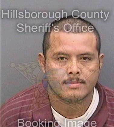 Guerra Ciro - Hillsborough County, FL 