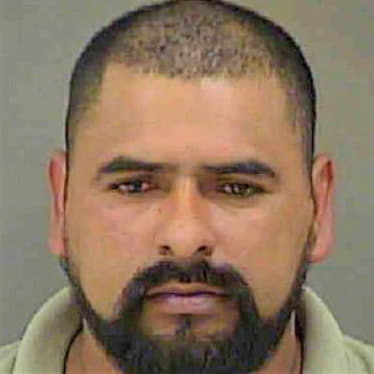 Mejia Jose - Mecklenburg County, NC 