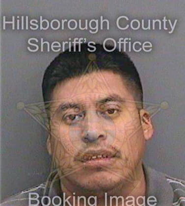 Salinashernandez Lorenzo - Hillsborough County, FL 