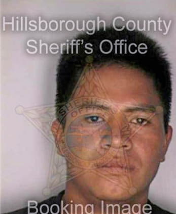 Gomez Alberiano - Hillsborough County, FL 