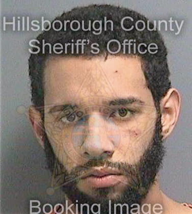 Garcia Sean - Hillsborough County, FL 