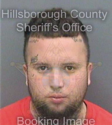 Martinez Richard - Hillsborough County, FL 