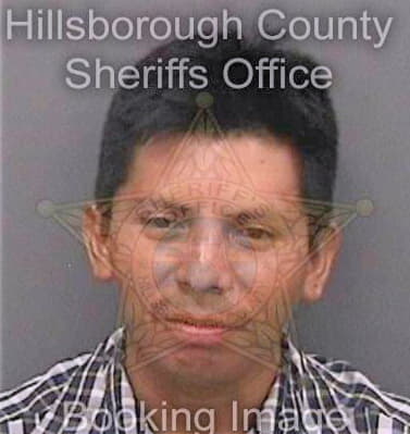 Gonzalezoxlaj Juan - Hillsborough County, FL 