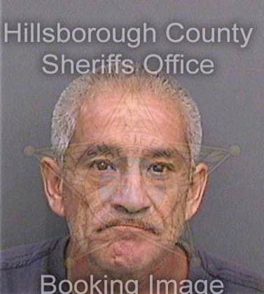 Garcia Nicandro - Hillsborough County, FL 