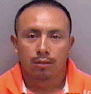 Sebastian Pascual - Lee County, FL 
