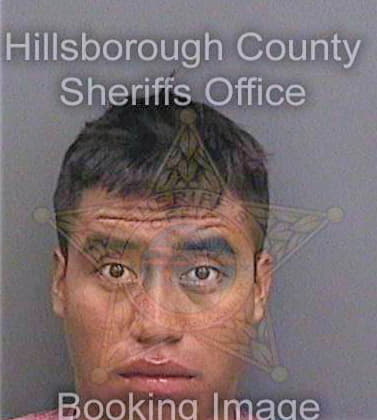 Perezperez Mario - Hillsborough County, FL 