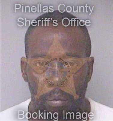 Sayles Terry - Pinellas County, FL 