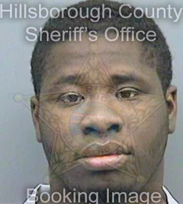 Huggins Joshua - Hillsborough County, FL 