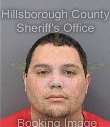 Leoncastillo Jose - Hillsborough County, FL 