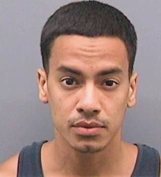 Ramirez Christopher - Hillsborough County, FL 