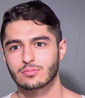 Sarkisyan Grant - Maricopa County, AZ 