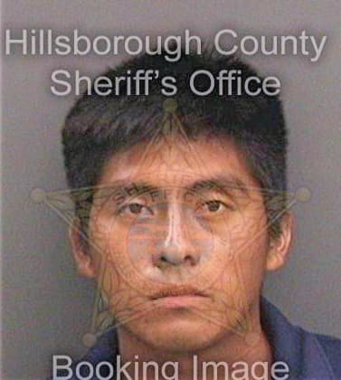 Delacruzperez Manuel - Hillsborough County, FL 