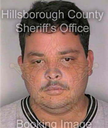 Gonzalez Jorge - Hillsborough County, FL 