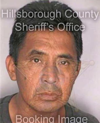 Delgado Amadlo - Hillsborough County, FL 