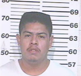 Meza Jose - Hidalgo County, TX 