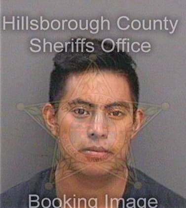 Gomezperez Lorenzo - Hillsborough County, FL 