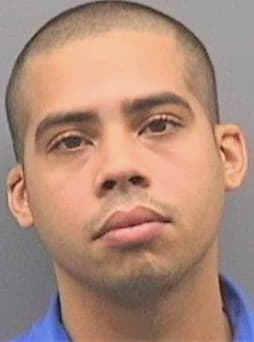 Oquendo Michael - Hillsborough County, FL 