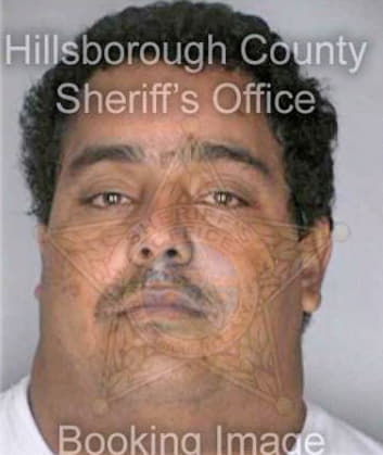 Sanchez Julio - Hillsborough County, FL 