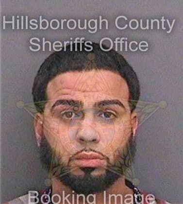 Barreiro Richard - Hillsborough County, FL 