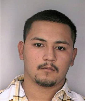 Meza Andres - Hillsborough County, FL 